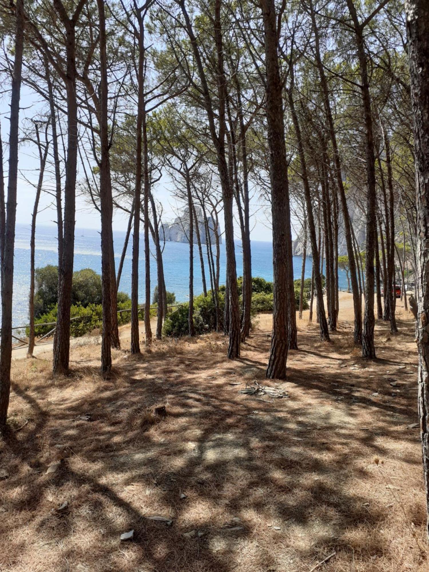 La Villa Tanca Piras Nebida Εξωτερικό φωτογραφία